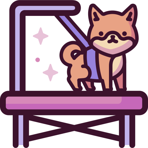 aesthetics-min.png