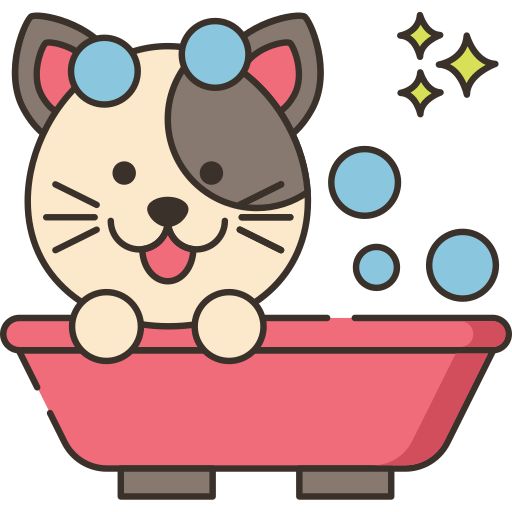cat-min.png
