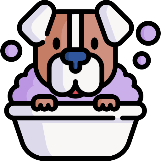 dog-1-min.png