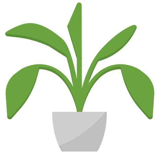 plant-min.png