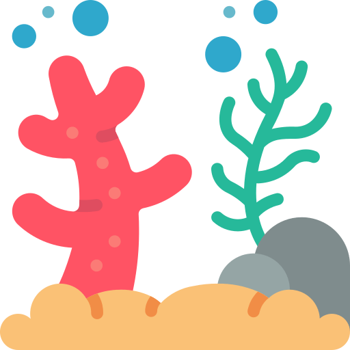 reef-min.png