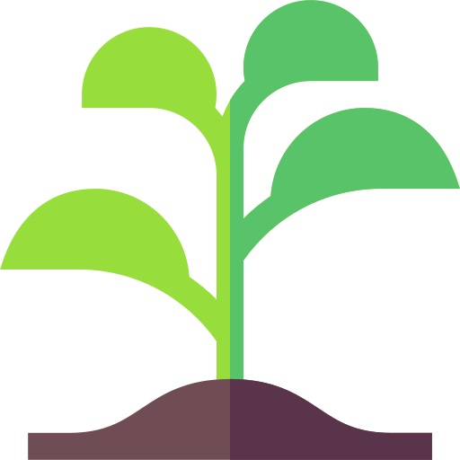 sprout-min.png